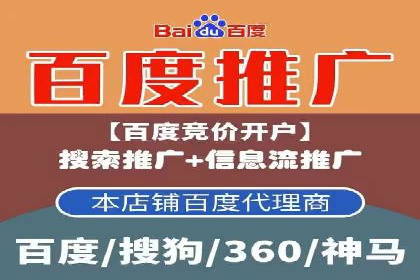 百度竞价排名机制：成功案例与策略探讨